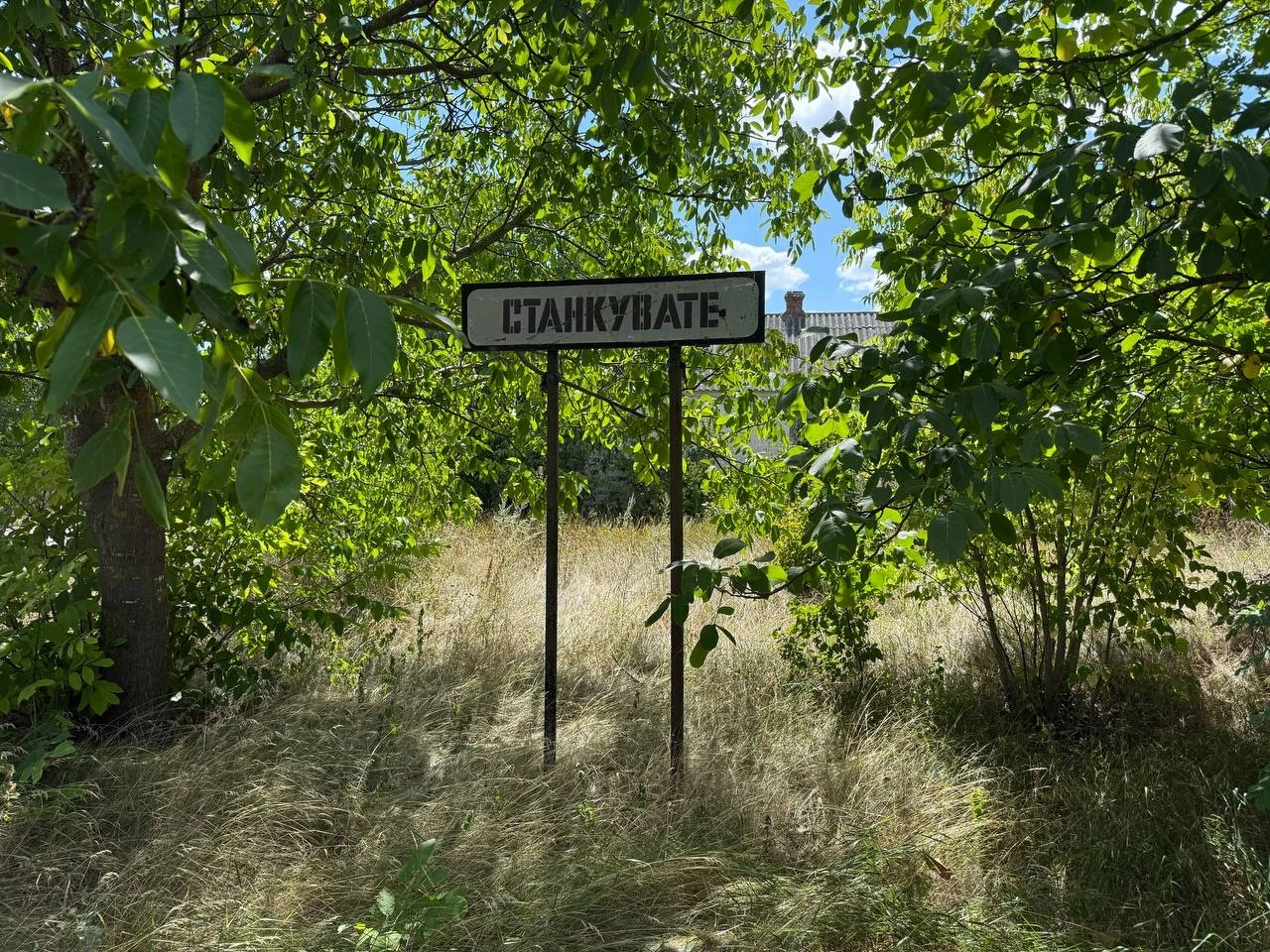 «Справжній болгарин — син України»: Степан Величко про коріння, фізику, футбол і життя для людей