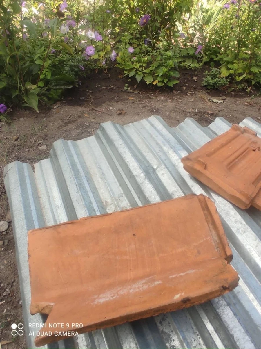 Цегельні Первомайська: від виробництва в Ольвіополі до заводу на Богополі. Історичний екскурс