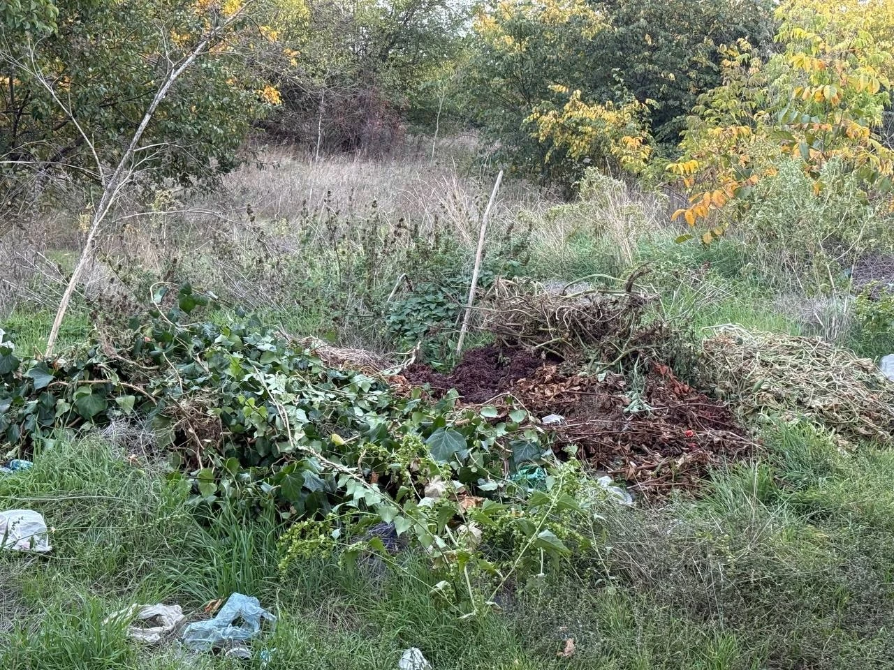 Півтора кілометра сміття вздовж дороги: що відбувається на Богополі у Первомайську