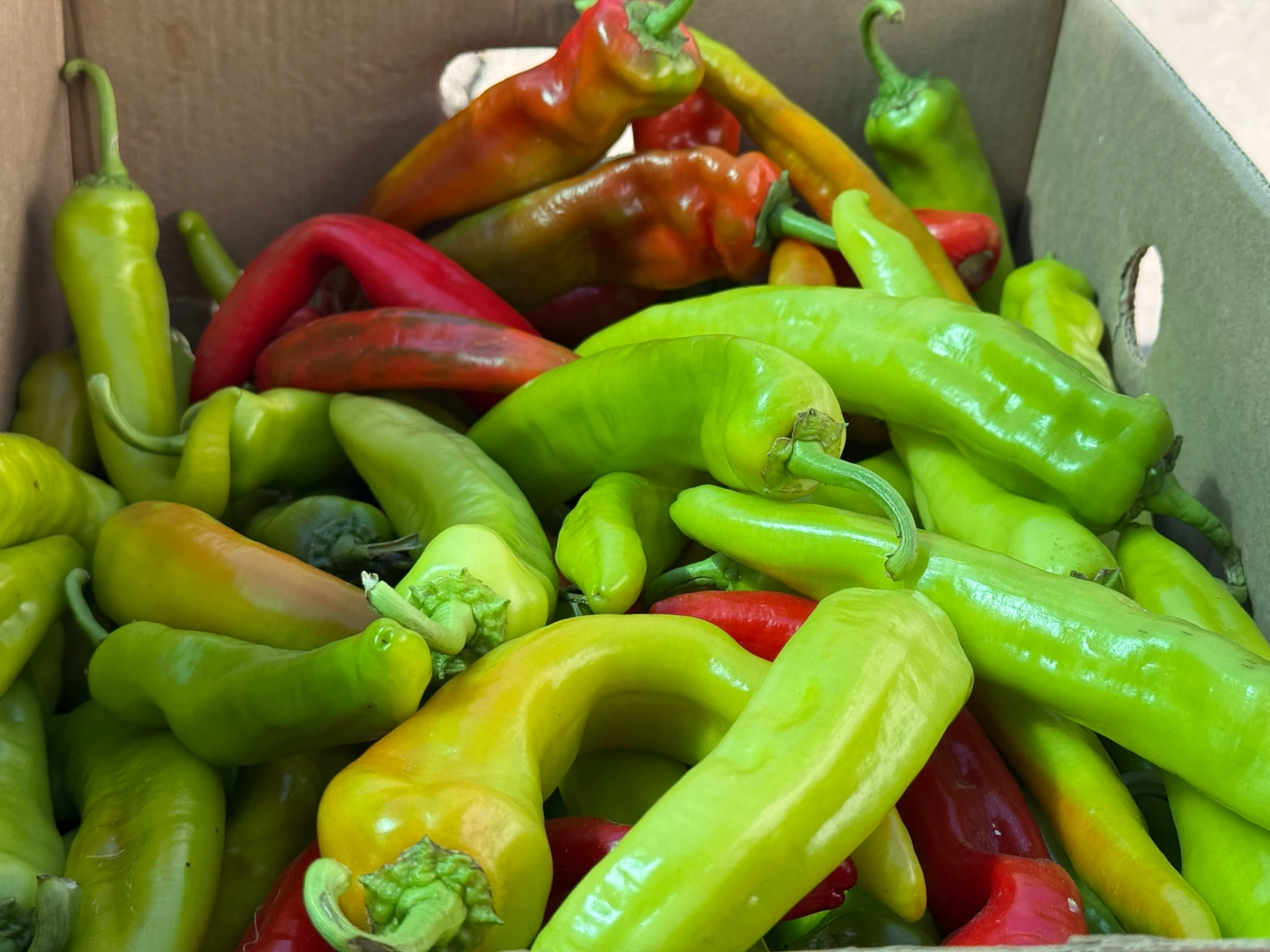 Що почому на центральному ринку Первомайська у серпні: огляд цін на продукти
