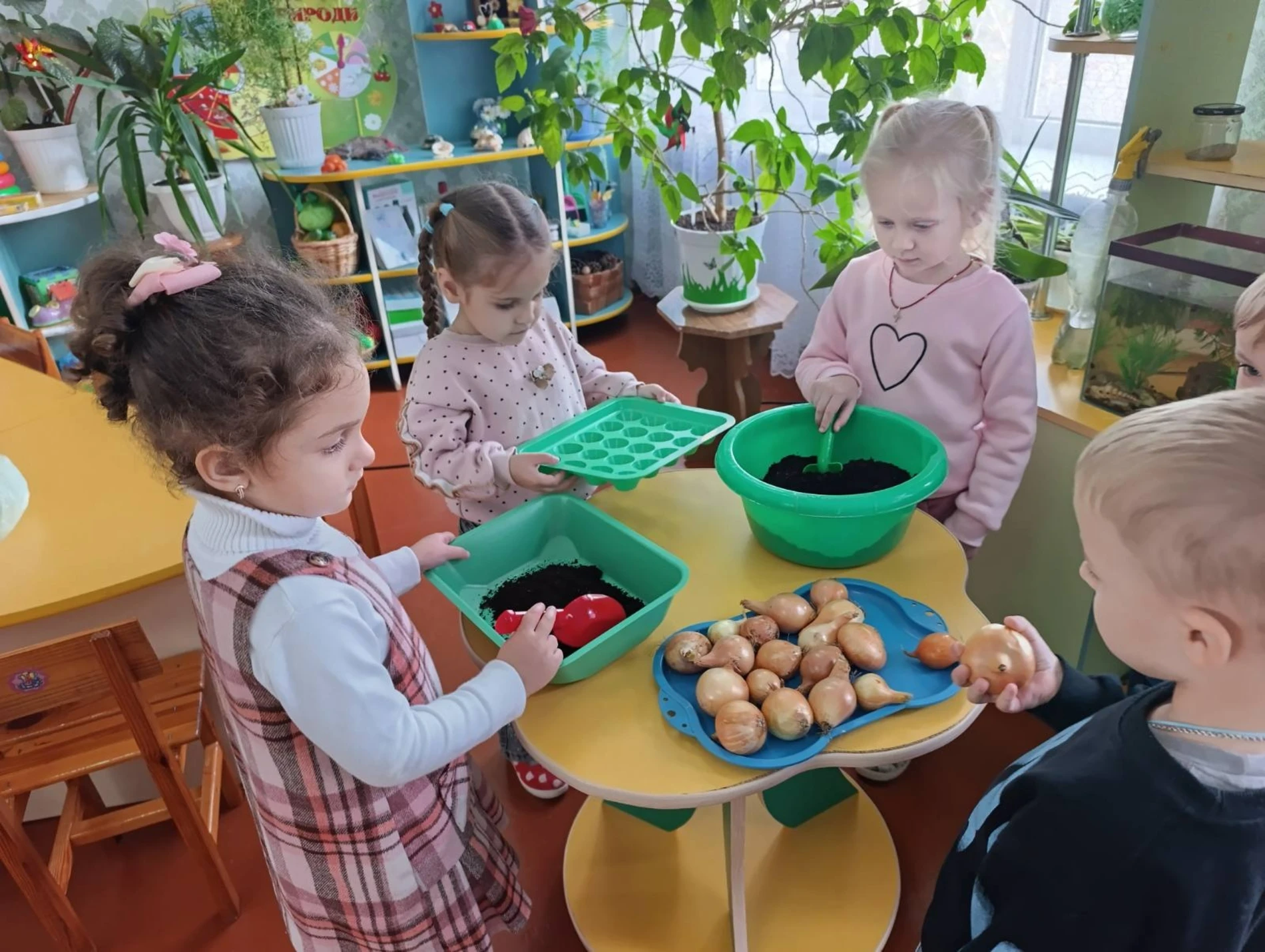 Маленькі дослідники «Сонечка»: як діти відкривають для себе природу