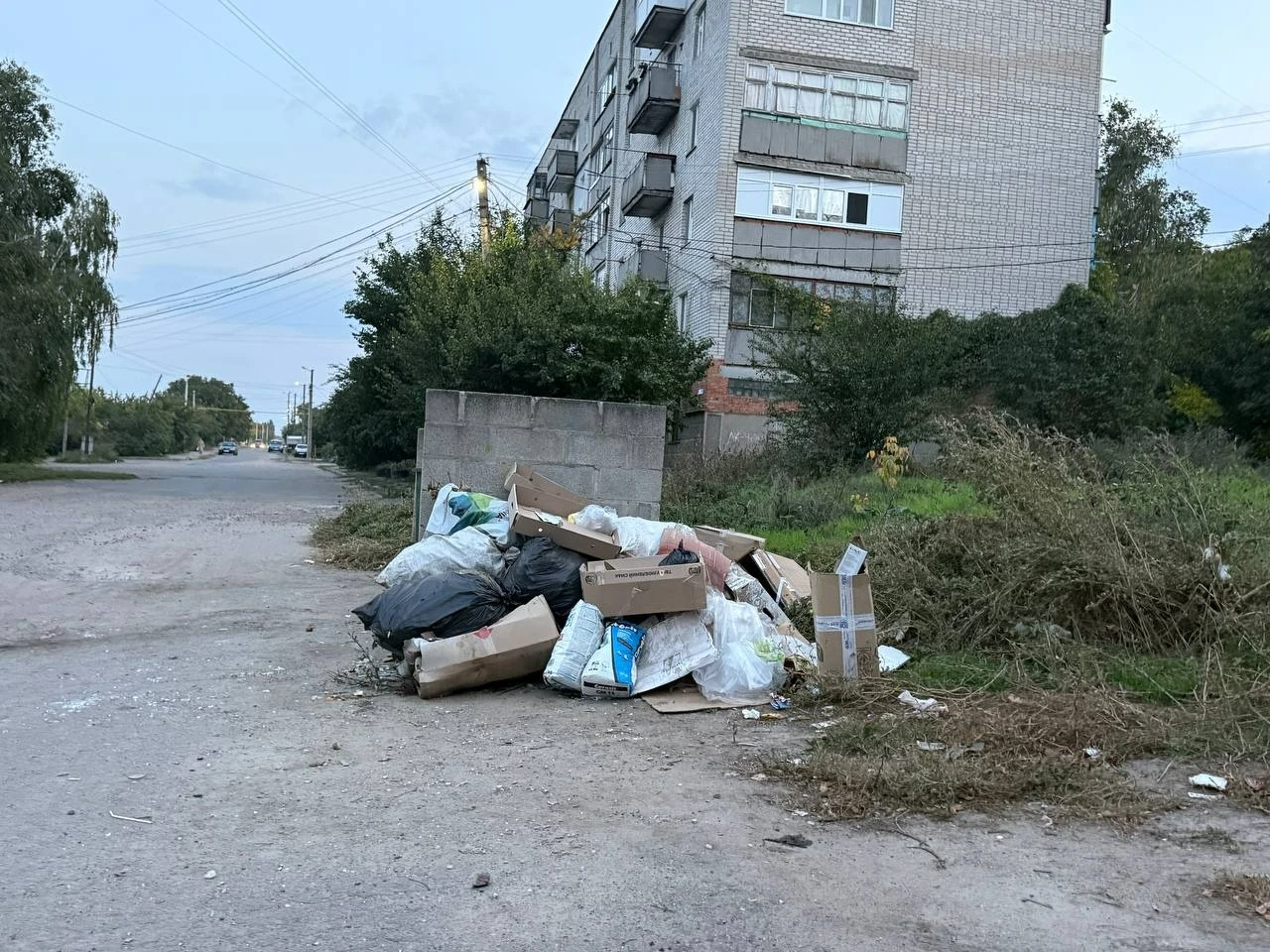Півтора кілометра сміття вздовж дороги: що відбувається на Богополі у Первомайську