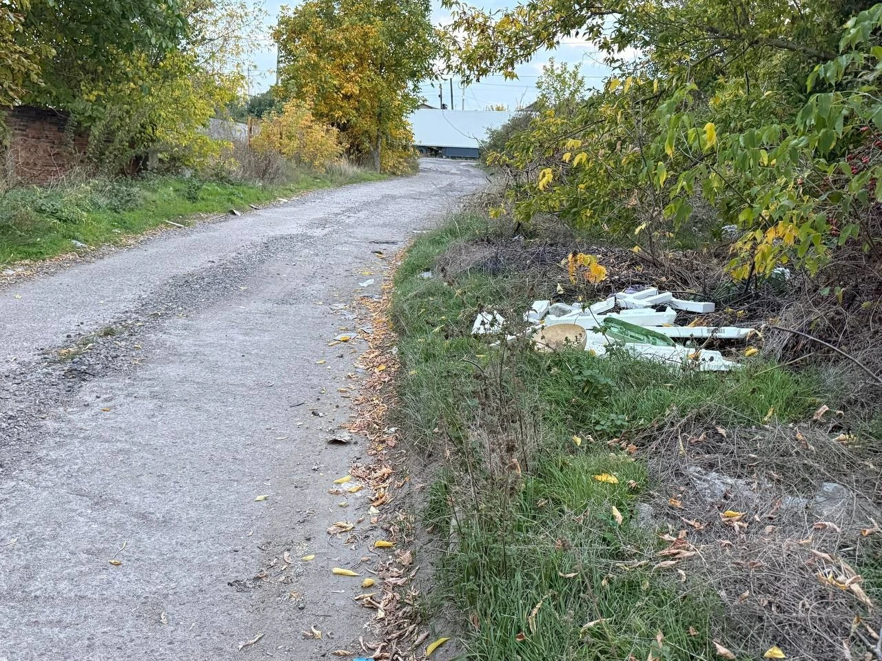 Півтора кілометра сміття вздовж дороги: що відбувається на Богополі у Первомайську