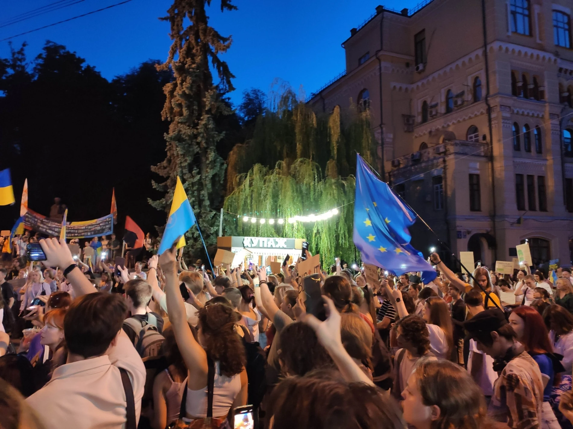 «Мені та моїй дитині в цій країні ще жити»: психологиня з Первомайська побувала на мітингу в Києві