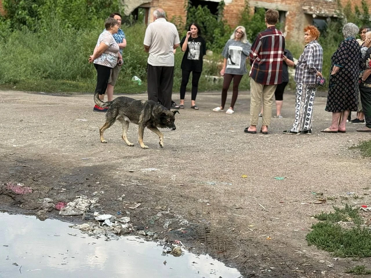 Роками просять облаштувати сміттєвий майданчик: як живе мікрорайон Цукрового заводу в Первомайську