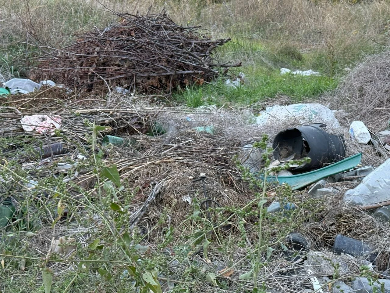 Півтора кілометра сміття вздовж дороги: що відбувається на Богополі у Первомайську