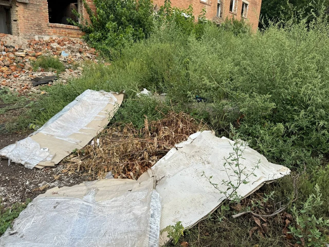Роками просять облаштувати сміттєвий майданчик: як живе мікрорайон Цукрового заводу в Первомайську