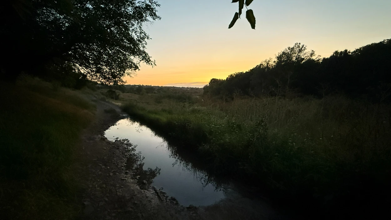 Сутеніє