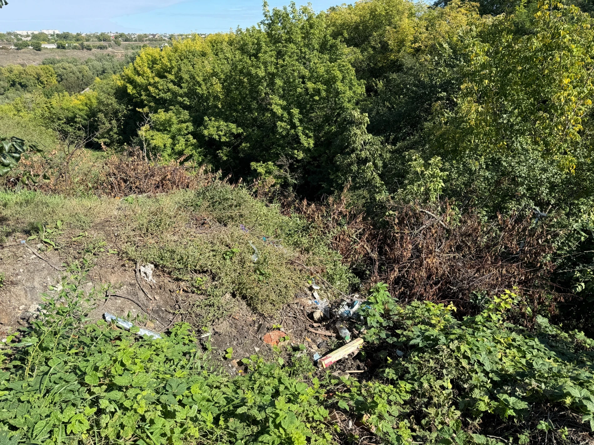 Що сказали про звалище над Бугом фахівець з екологічної інспекції й міські служби Первомайська