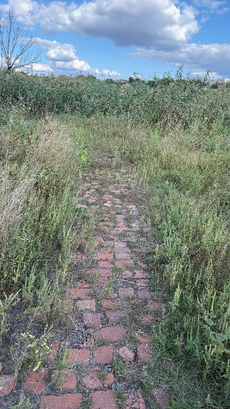 Первомайську потрібні переправи через Південний Буг: у 2026-му працює тільки одна