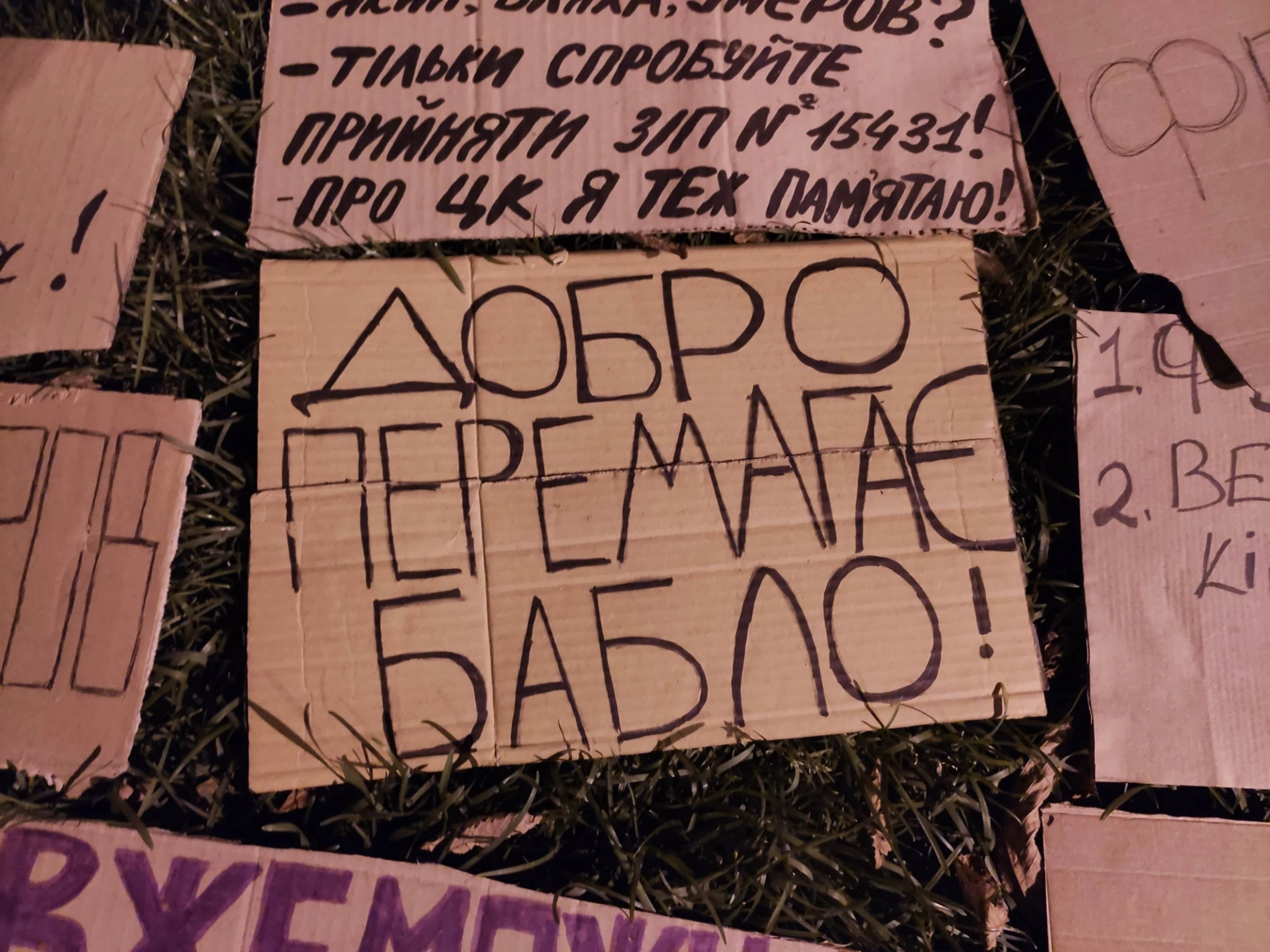 «Мені та моїй дитині в цій країні ще жити»: психологиня з Первомайська побувала на мітингу в Києві