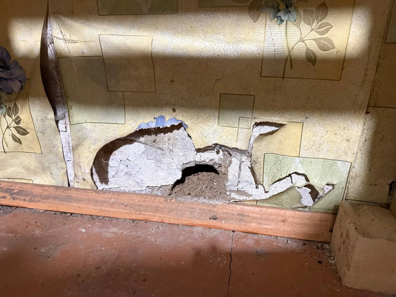 Півтора кілометра сміття вздовж дороги: що відбувається на Богополі у Первомайську