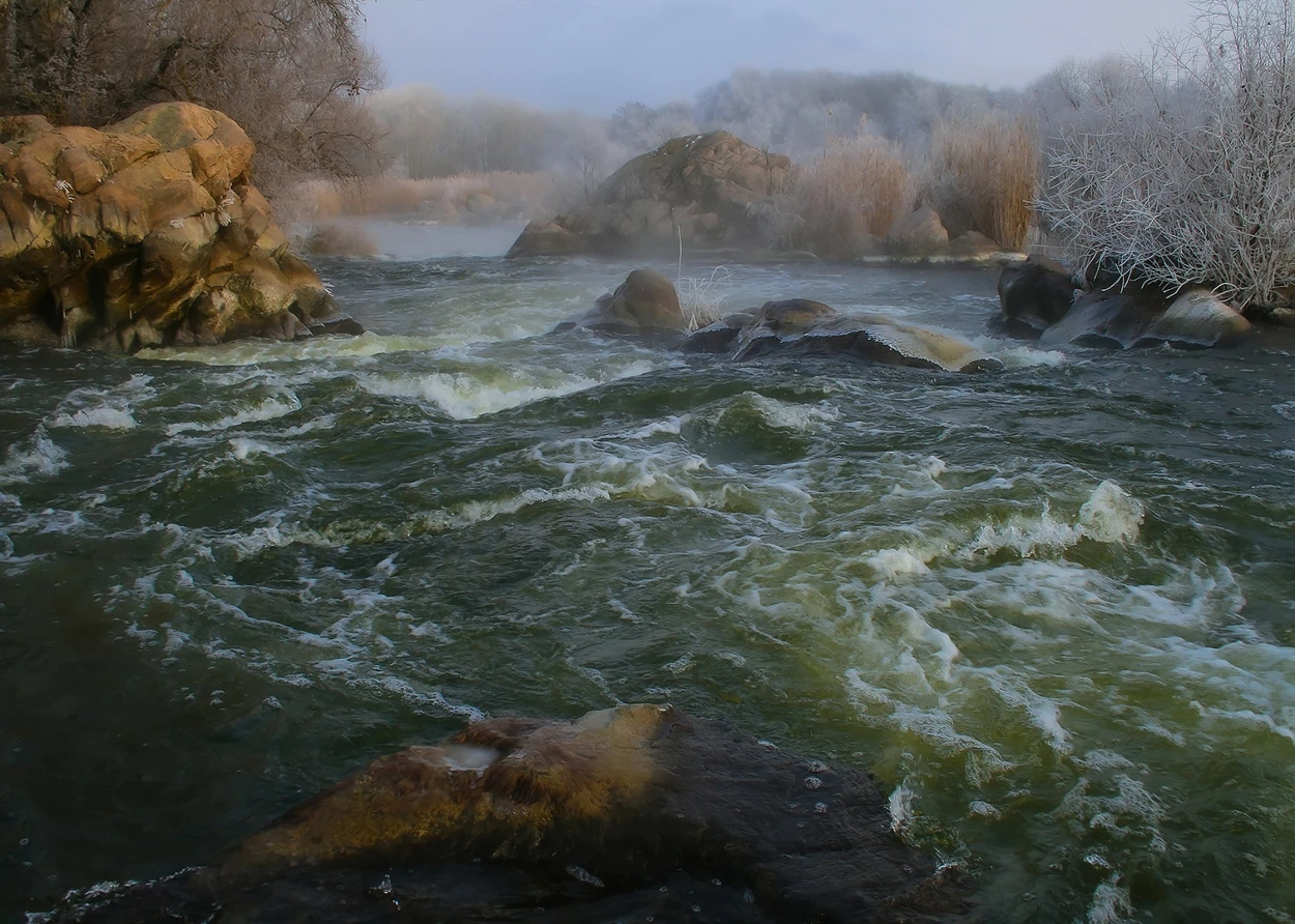 «Течія» (Flow)