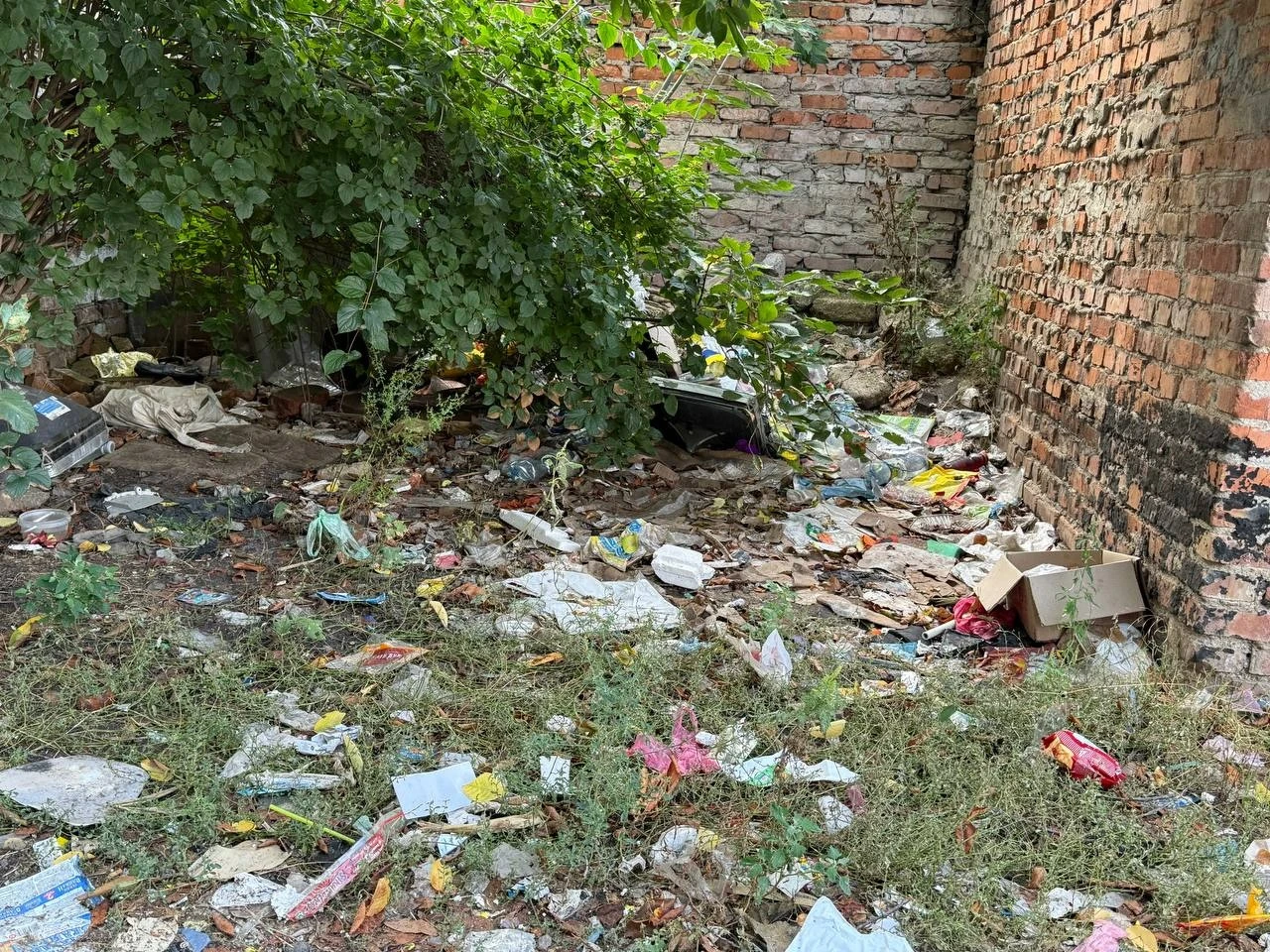 Роками просять облаштувати сміттєвий майданчик: як живе мікрорайон Цукрового заводу в Первомайську