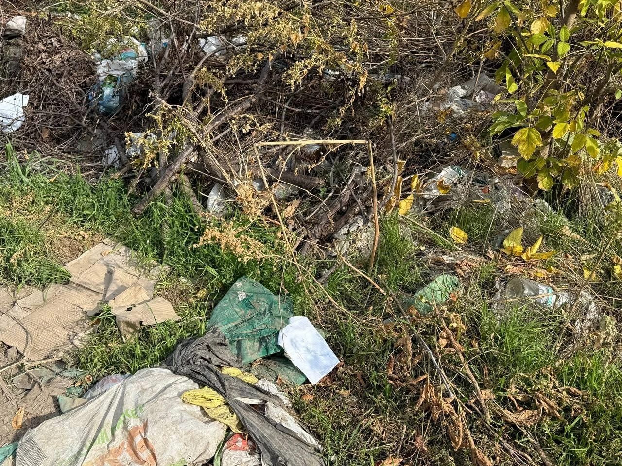 Екоінспекція та міські служби оглянули звалище на Богополі