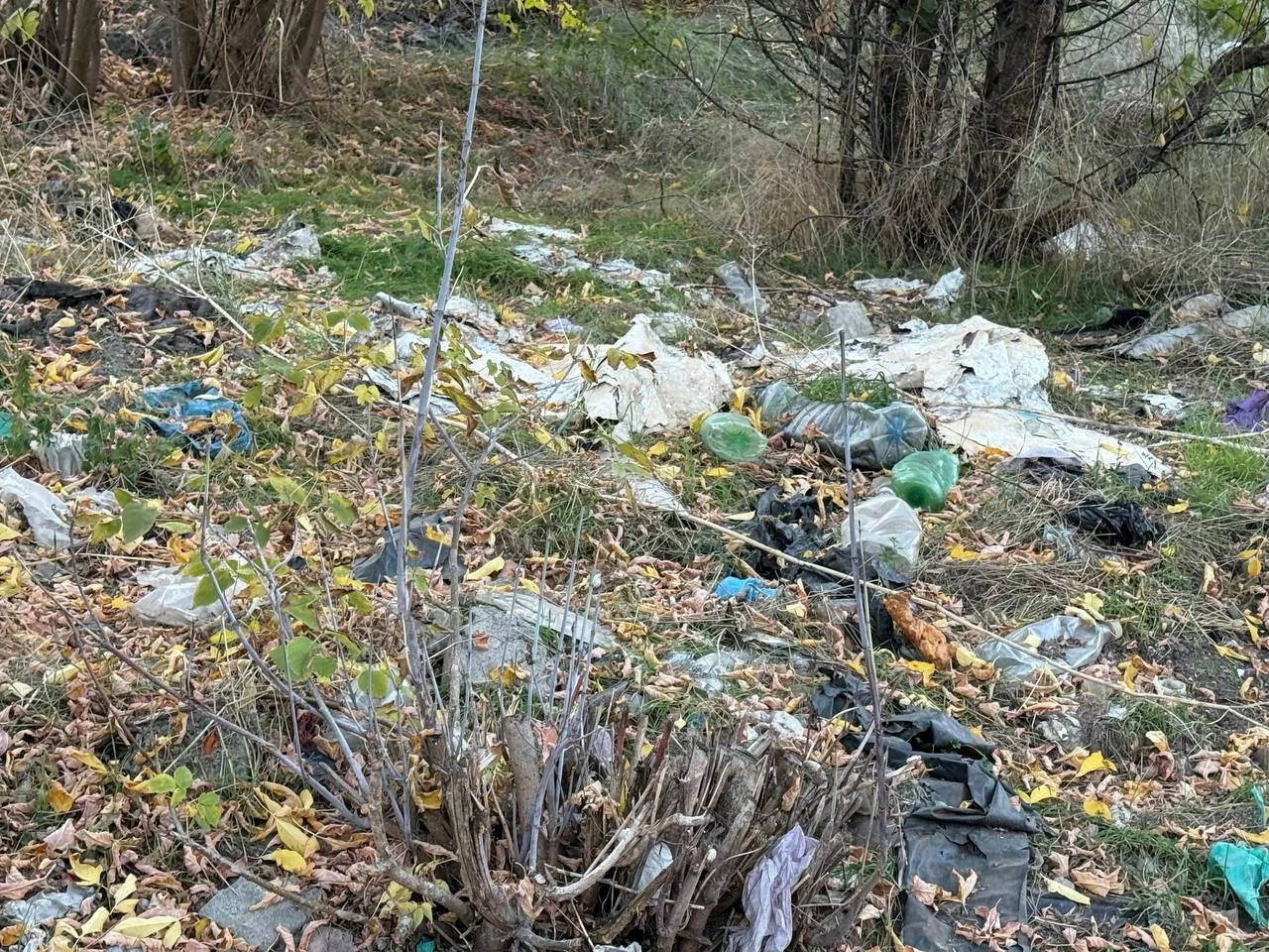 Півтора кілометра сміття вздовж дороги: що відбувається на Богополі у Первомайську