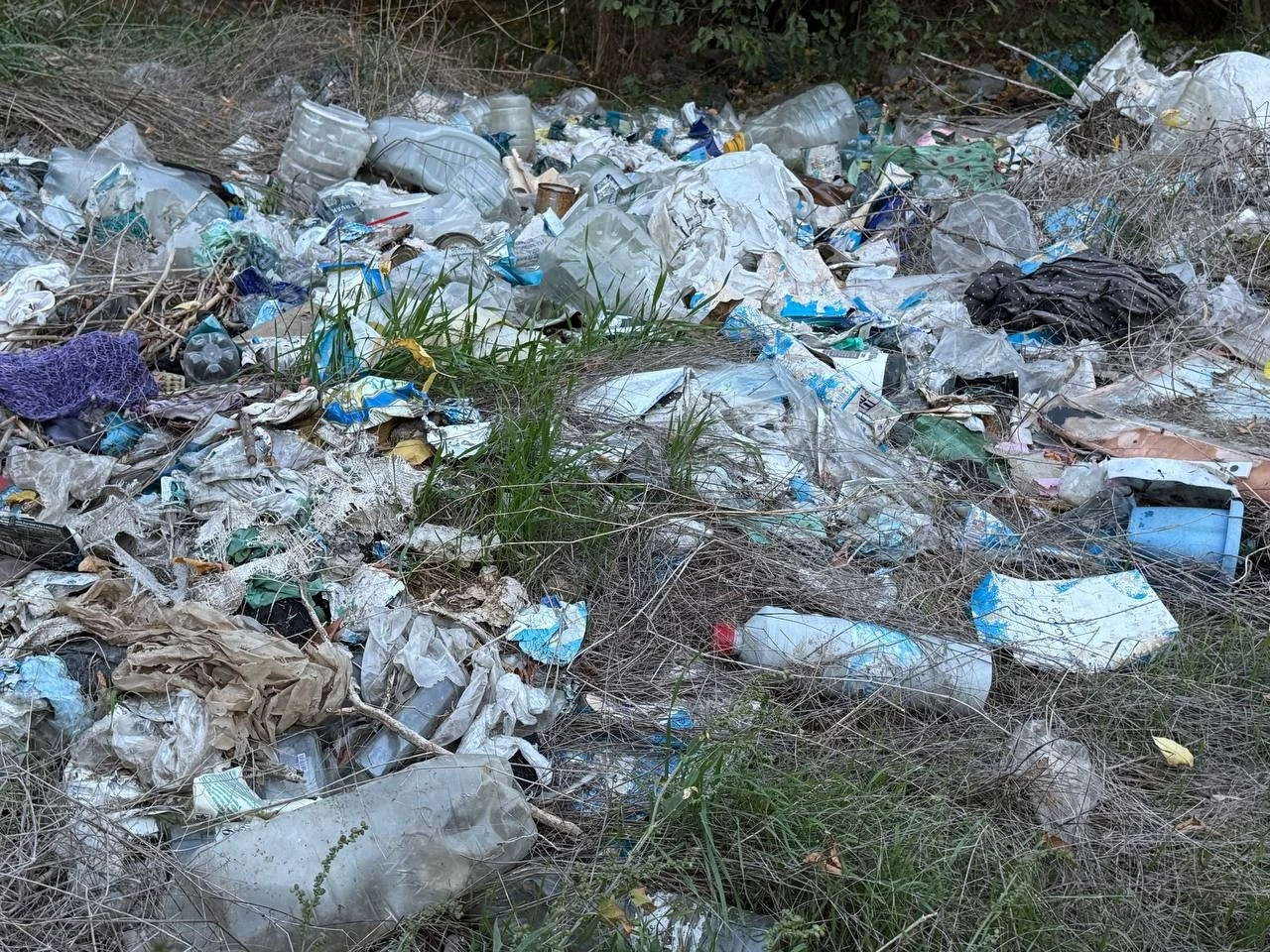 Півтора кілометра сміття вздовж дороги: що відбувається на Богополі у Первомайську