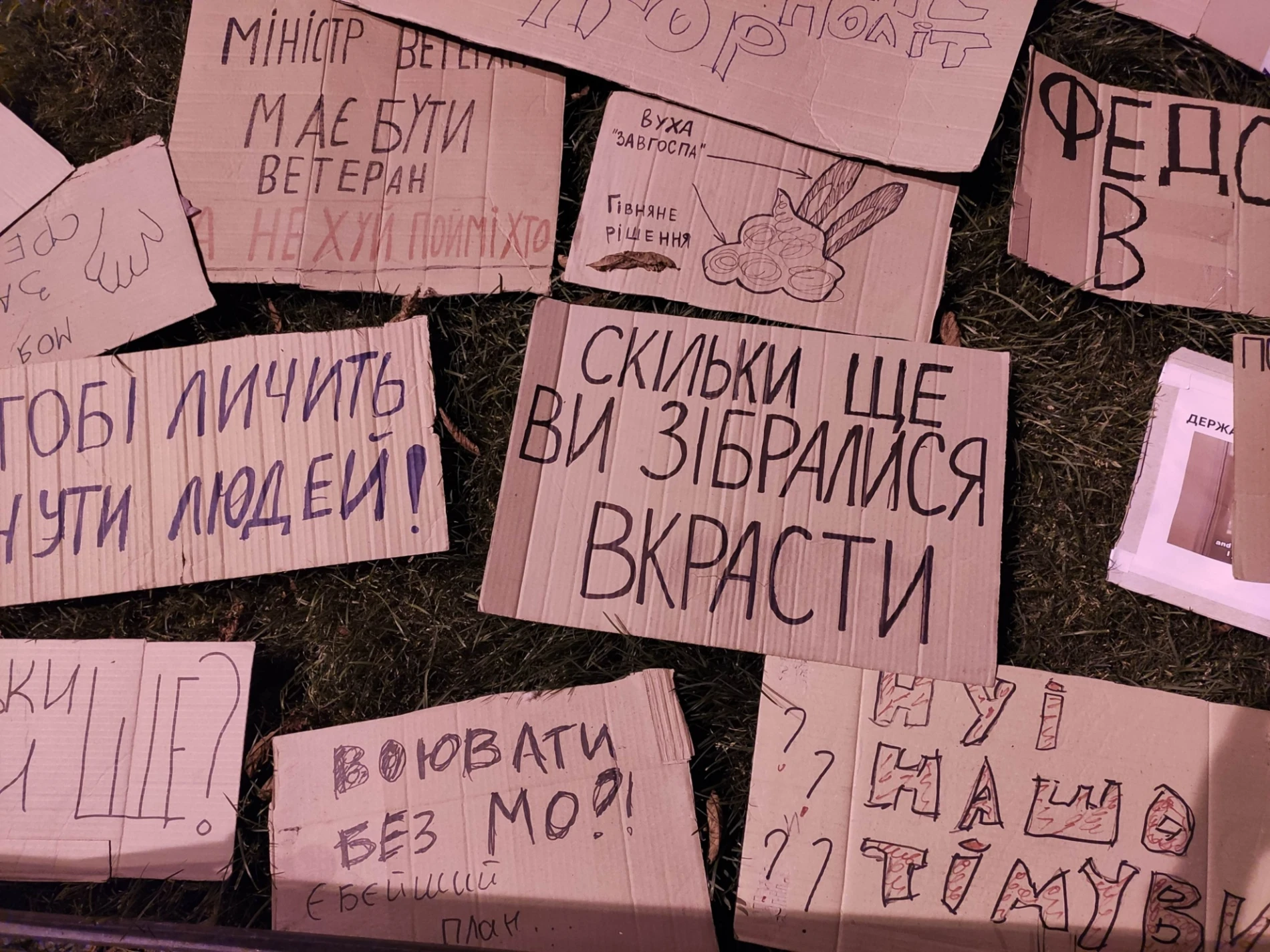 «Мені та моїй дитині в цій країні ще жити»: психологиня з Первомайська побувала на мітингу в Києві