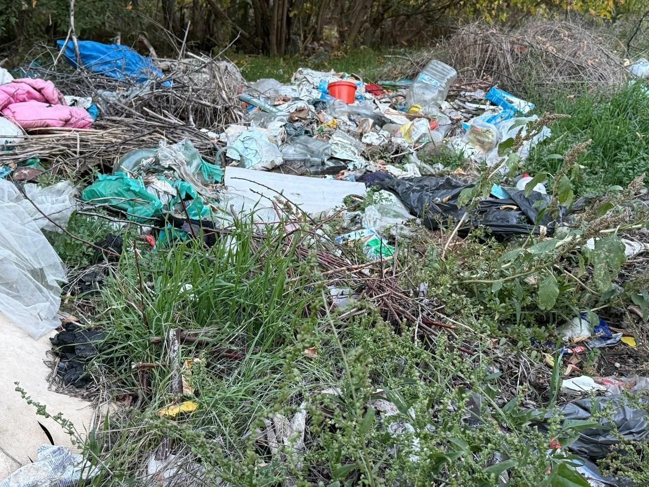 Півтора кілометра сміття вздовж дороги: що відбувається на Богополі у Первомайську