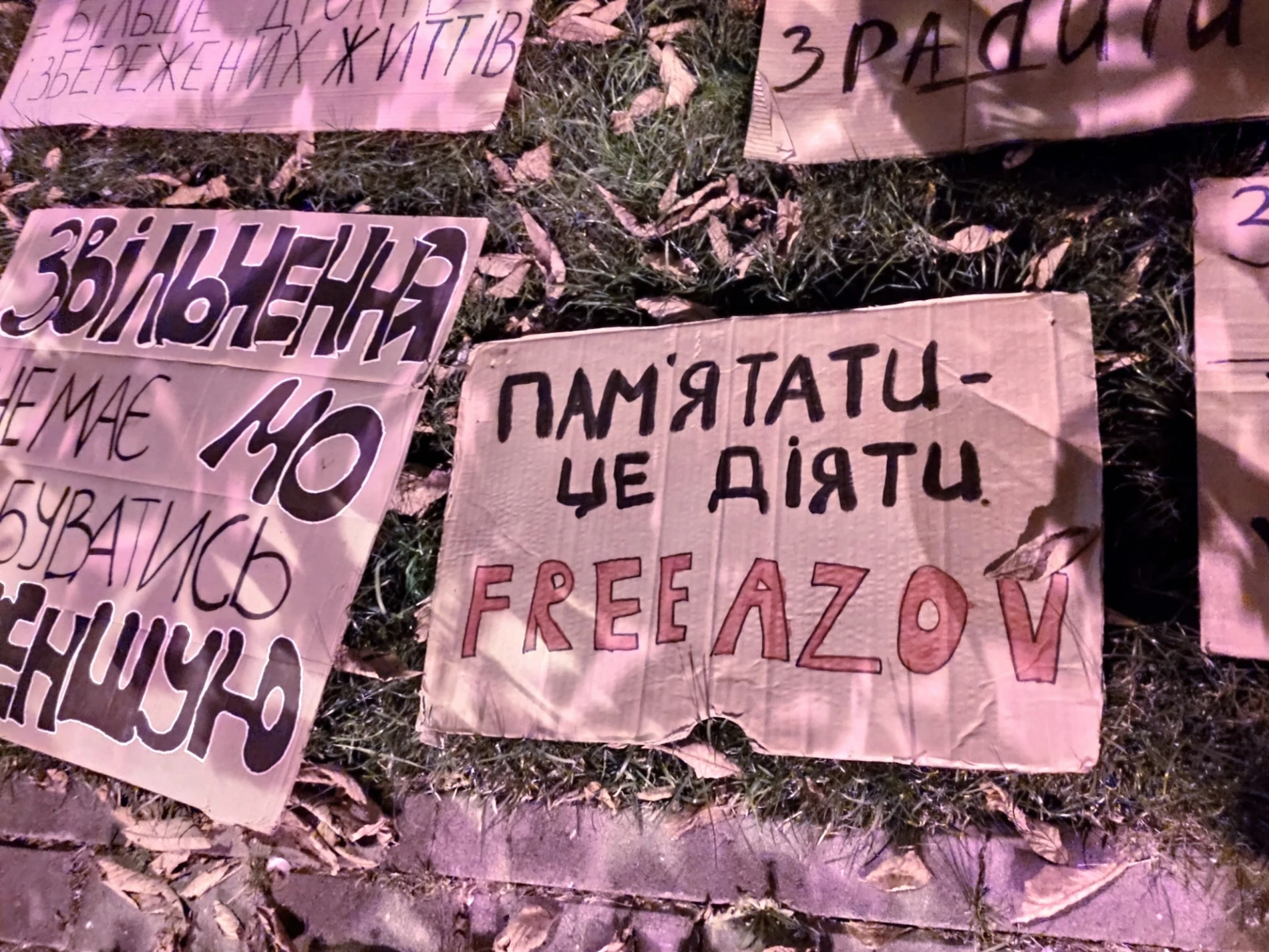 «Мені та моїй дитині в цій країні ще жити»: психологиня з Первомайська побувала на мітингу в Києві