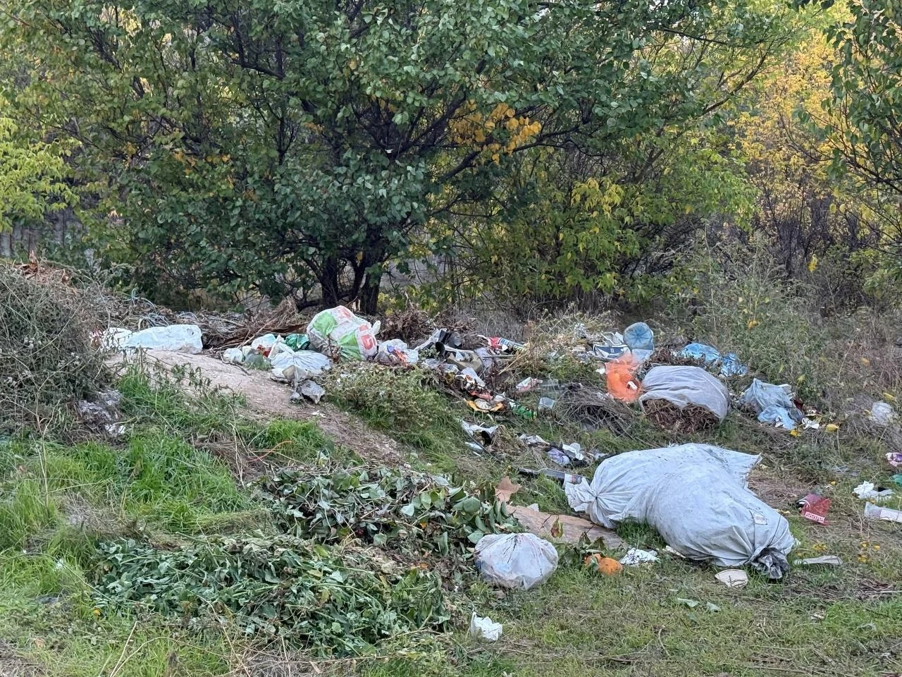 Півтора кілометра сміття вздовж дороги: що відбувається на Богополі у Первомайську