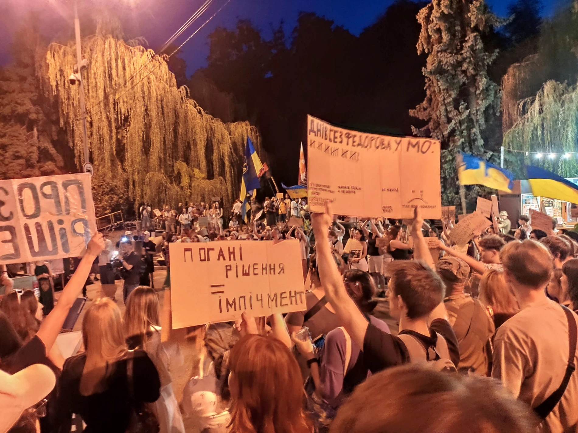 «Мені та моїй дитині в цій країні ще жити»: психологиня з Первомайська побувала на мітингу в Києві