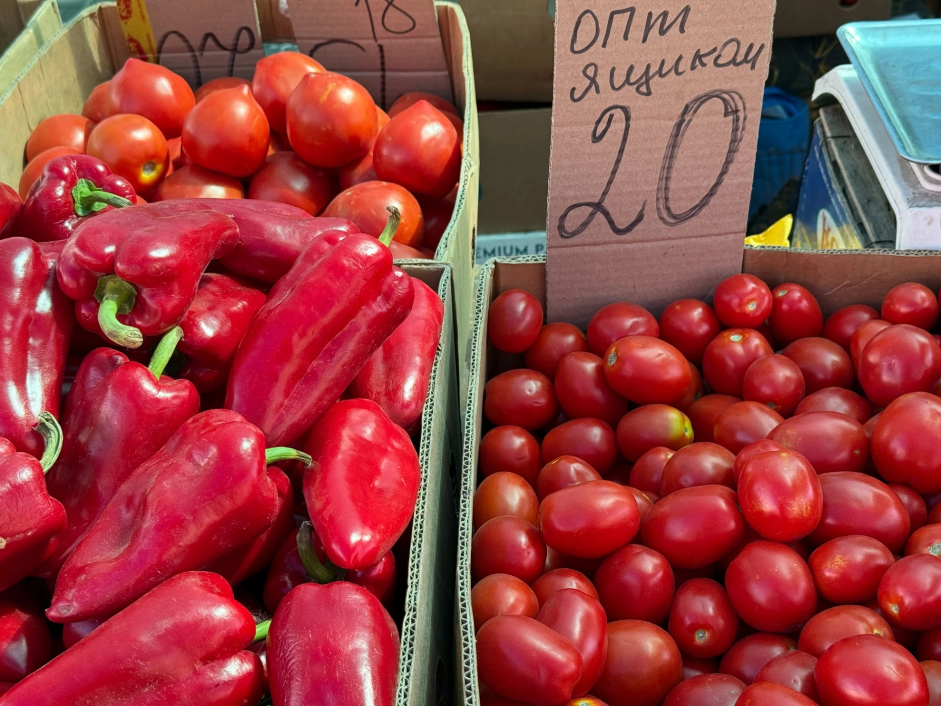 Що почому на центральному ринку Первомайська у серпні: огляд цін на продукти