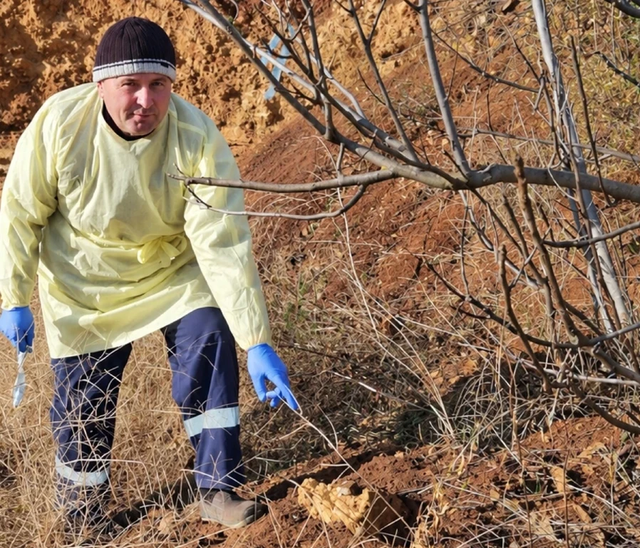 Як виглядає приманка з вакциною проти сказу, яку розкладають на Миколаївщині