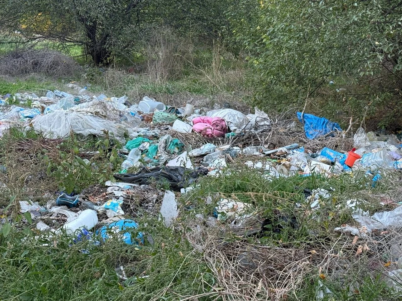 Півтора кілометра сміття вздовж дороги: що відбувається на Богополі у Первомайську
