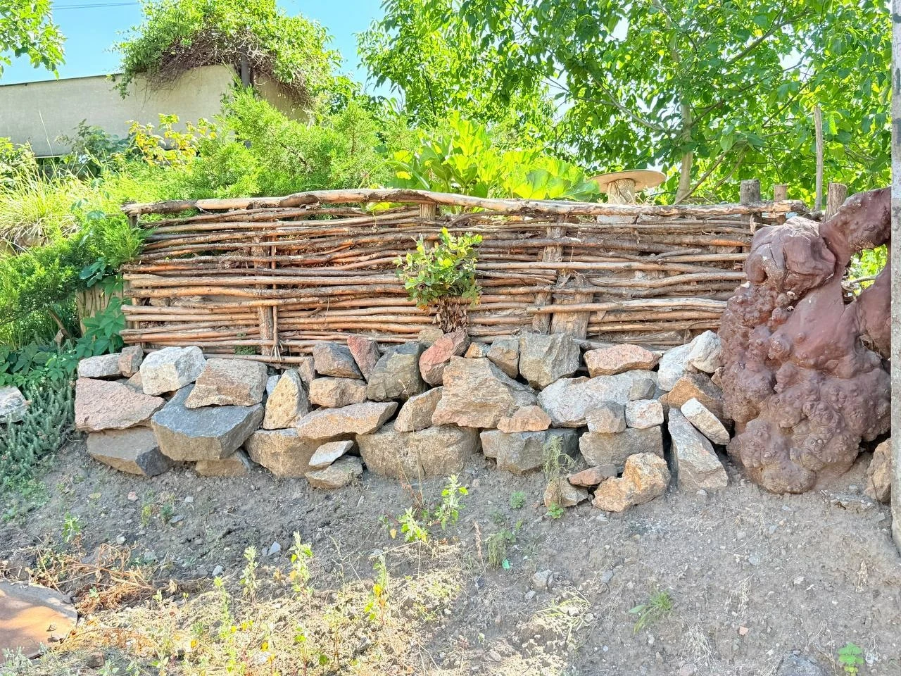Парк, який виріс із любові: як Михайло Бураков власноруч створив свій світ неподалік Південного Бугу
