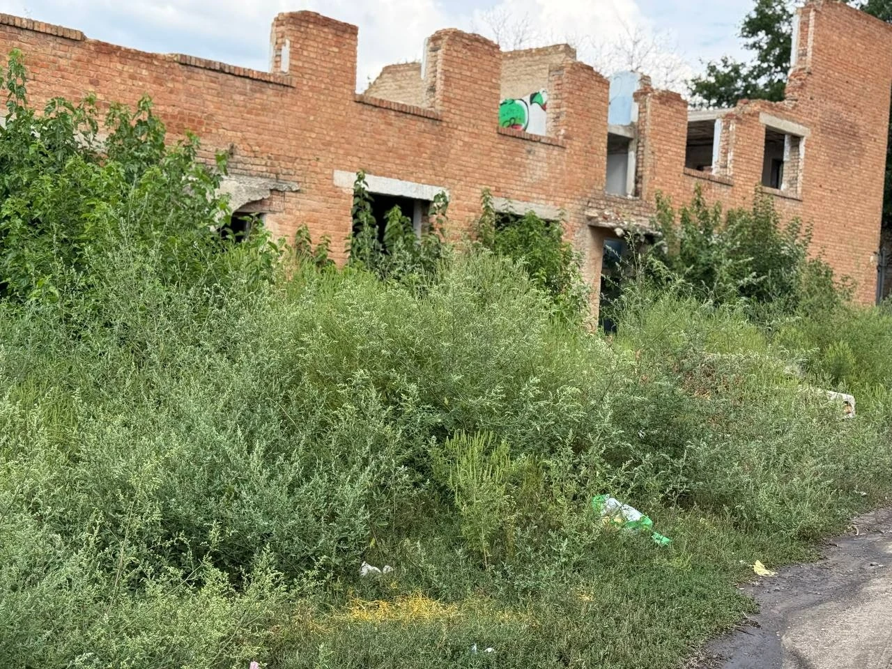 Роками просять облаштувати сміттєвий майданчик: як живе мікрорайон Цукрового заводу в Первомайську