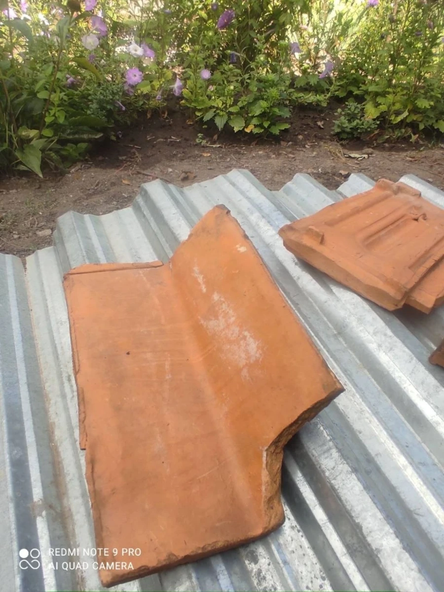 Цегельні Первомайська: від виробництва в Ольвіополі до заводу на Богополі. Історичний екскурс