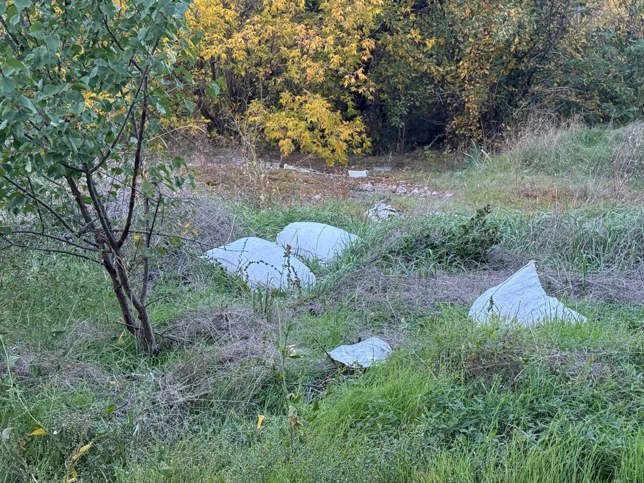 Півтора кілометра сміття вздовж дороги: що відбувається на Богополі у Первомайську