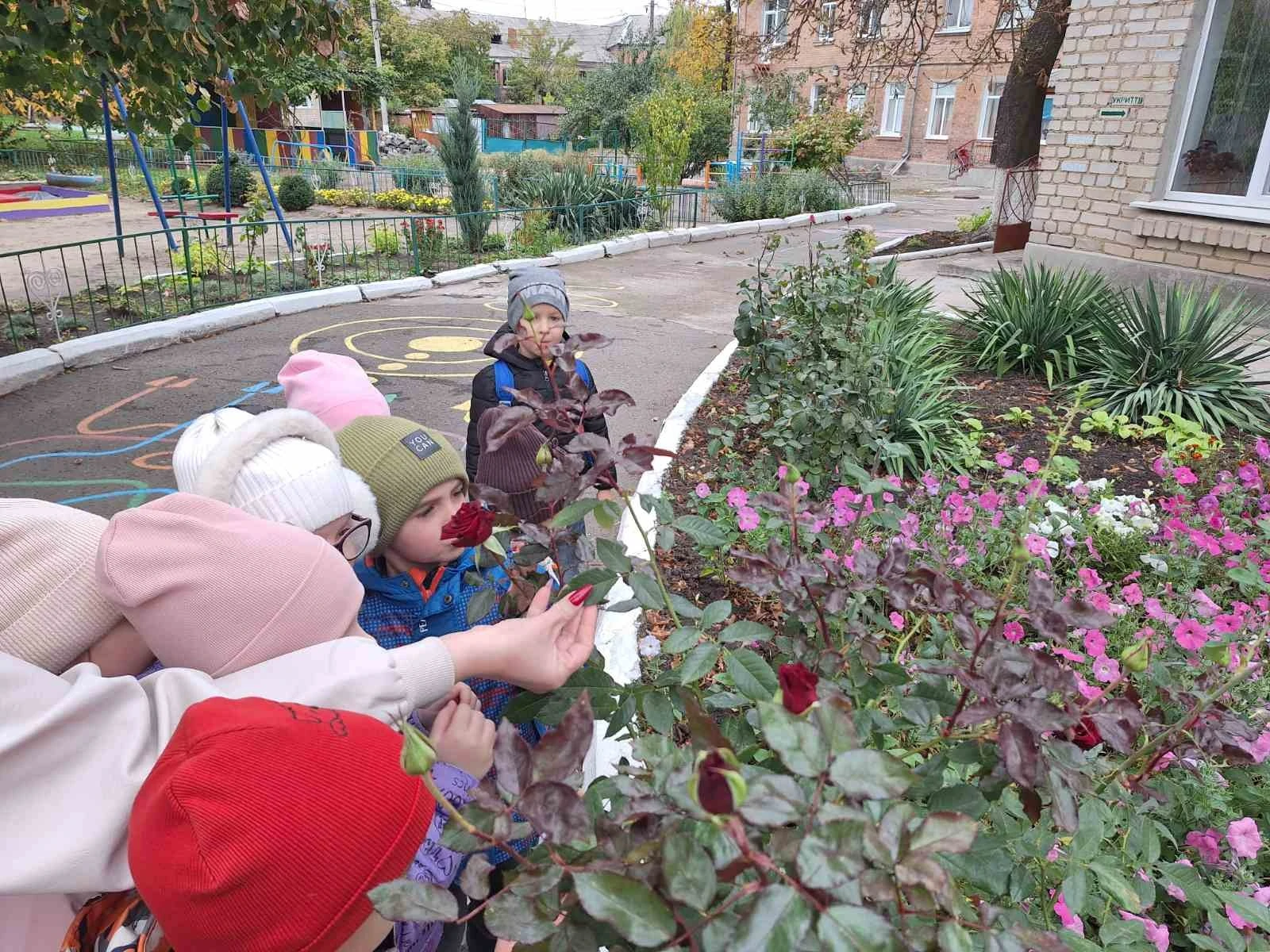 Маленькі дослідники й великі осінні відкриття у первомайському садочку «Ластівка»