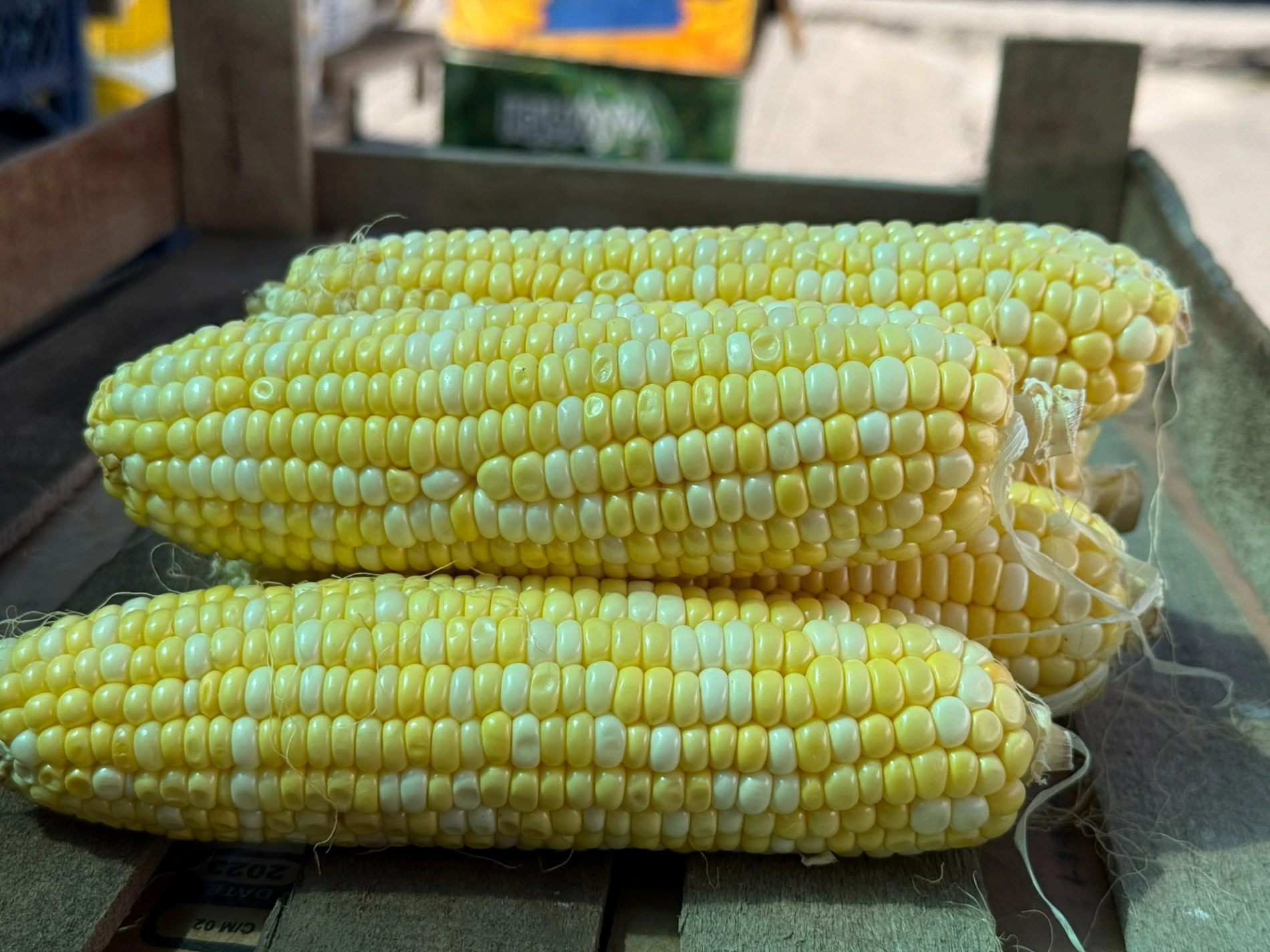 Що почому на центральному ринку Первомайська у серпні: огляд цін на продукти