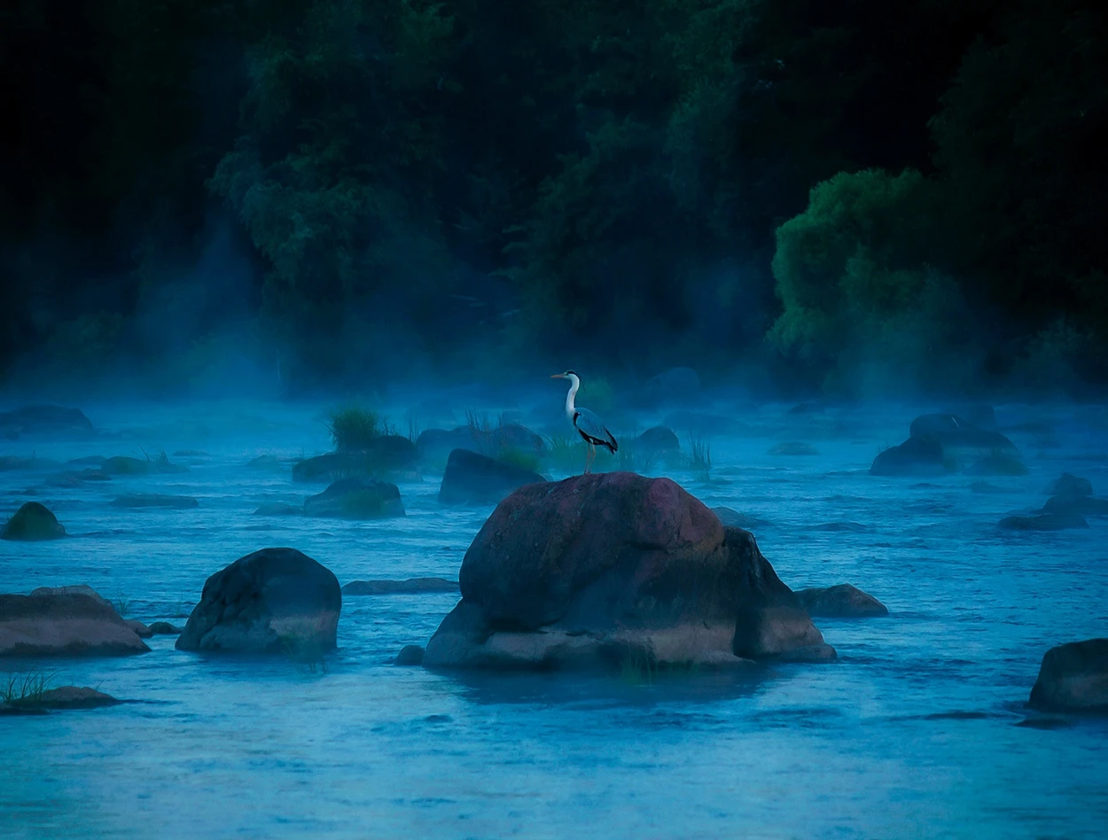 «Неонова річка» (Neon River)