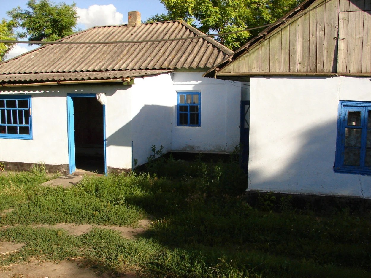 Спориш на подвір'ї