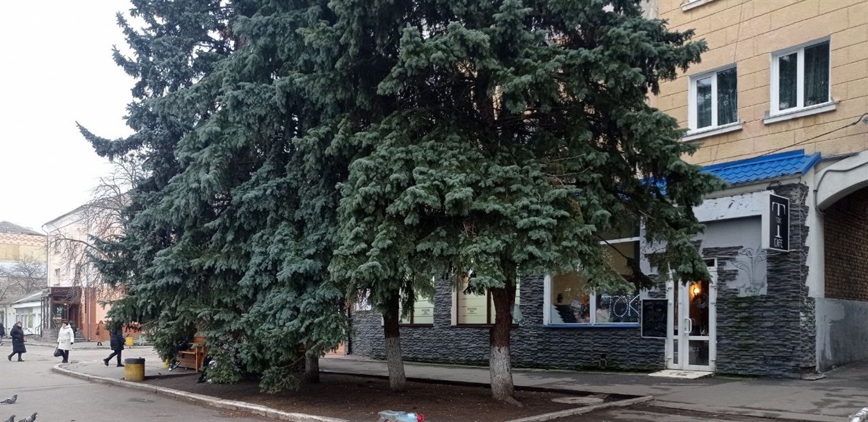 вулиця Шевченка, 17