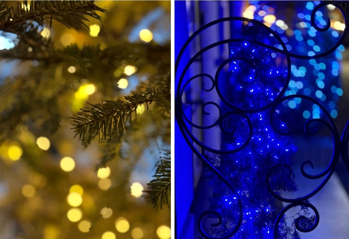 Жовто-сині вогні