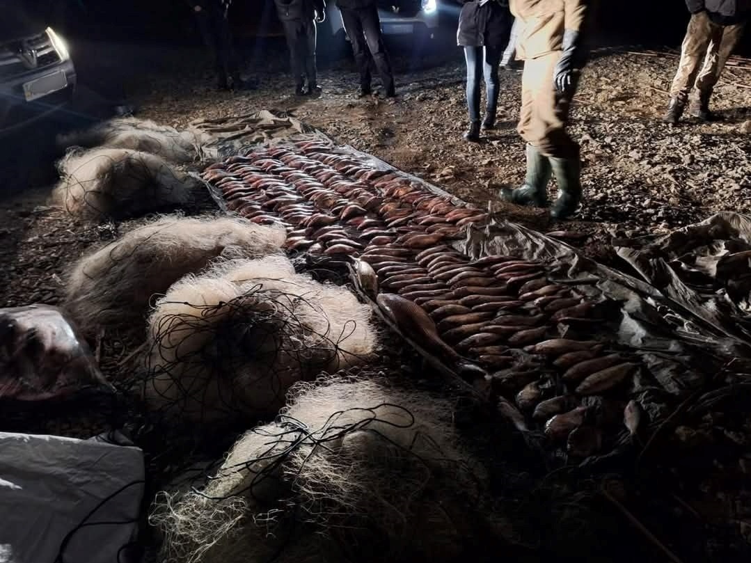 Сітки — один із незаконних способів лову риби