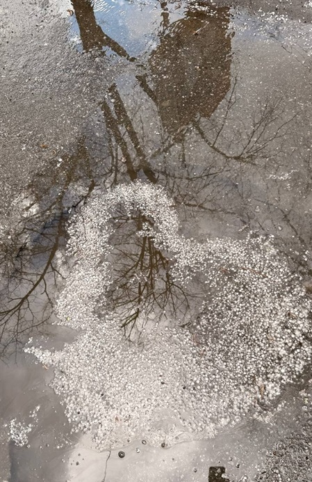 Хмари, град і знову сонце: мінливий квітень у Первомайську. Фотоальбом