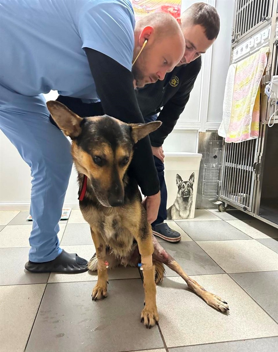 Граф на лікуванні