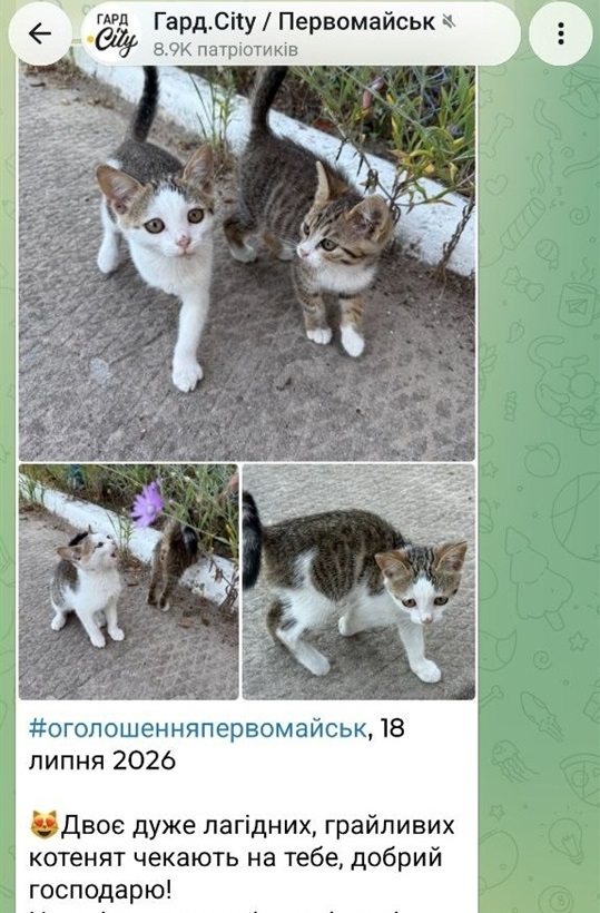 Оголошення на Гард.City