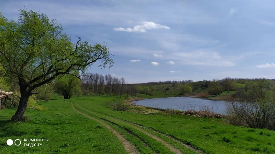 Річка Синюха