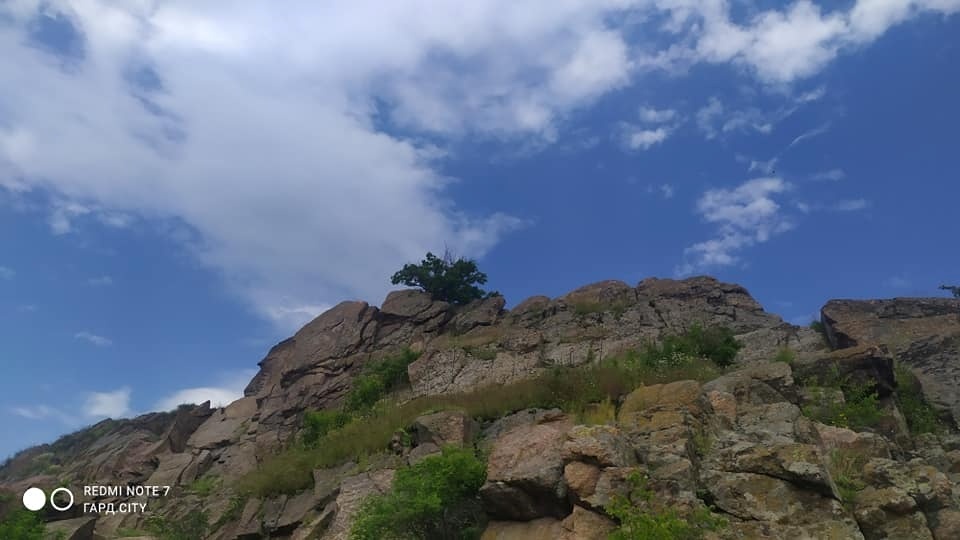 Бузький Гард