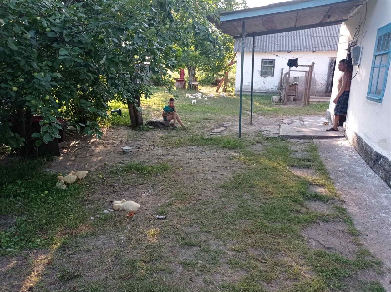 Побілену хатину ледь видно через гущину дерев