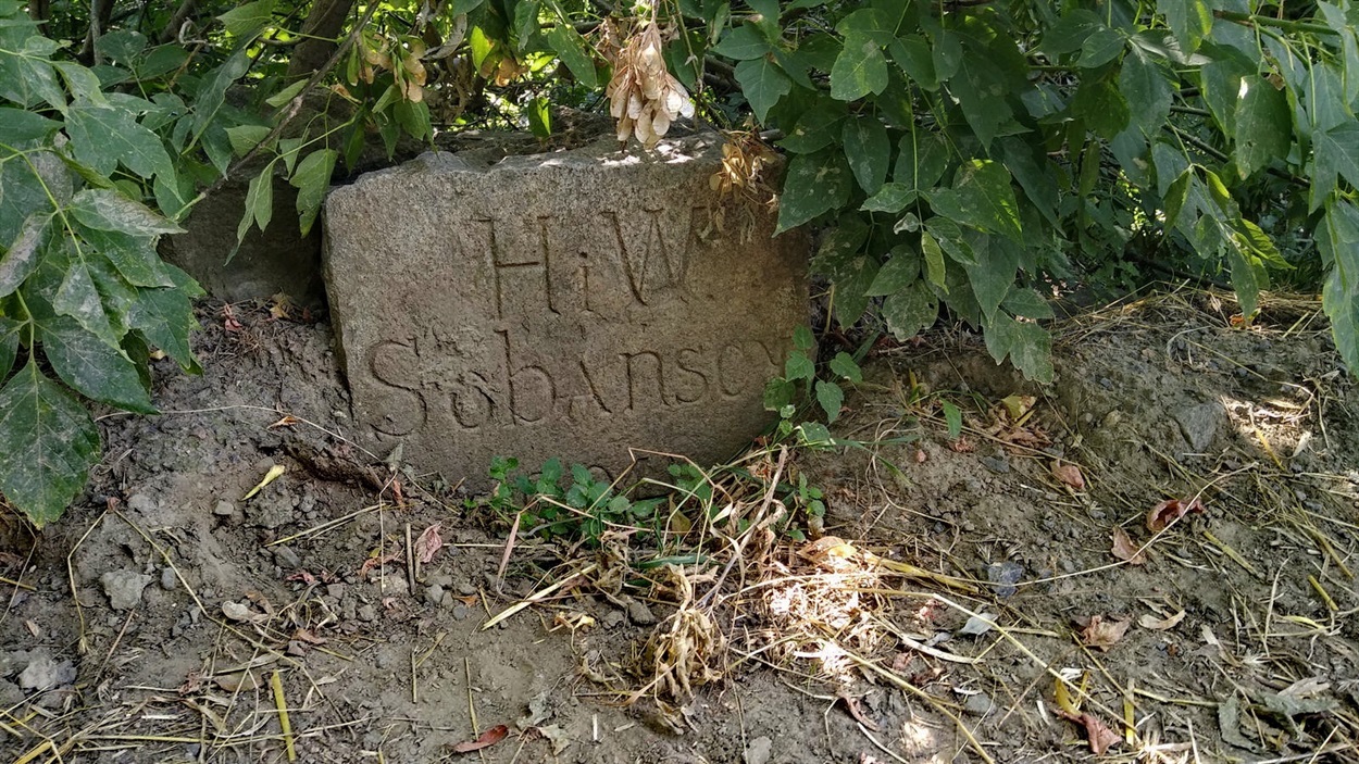 Візитівка братів Собанських, 1904 рік