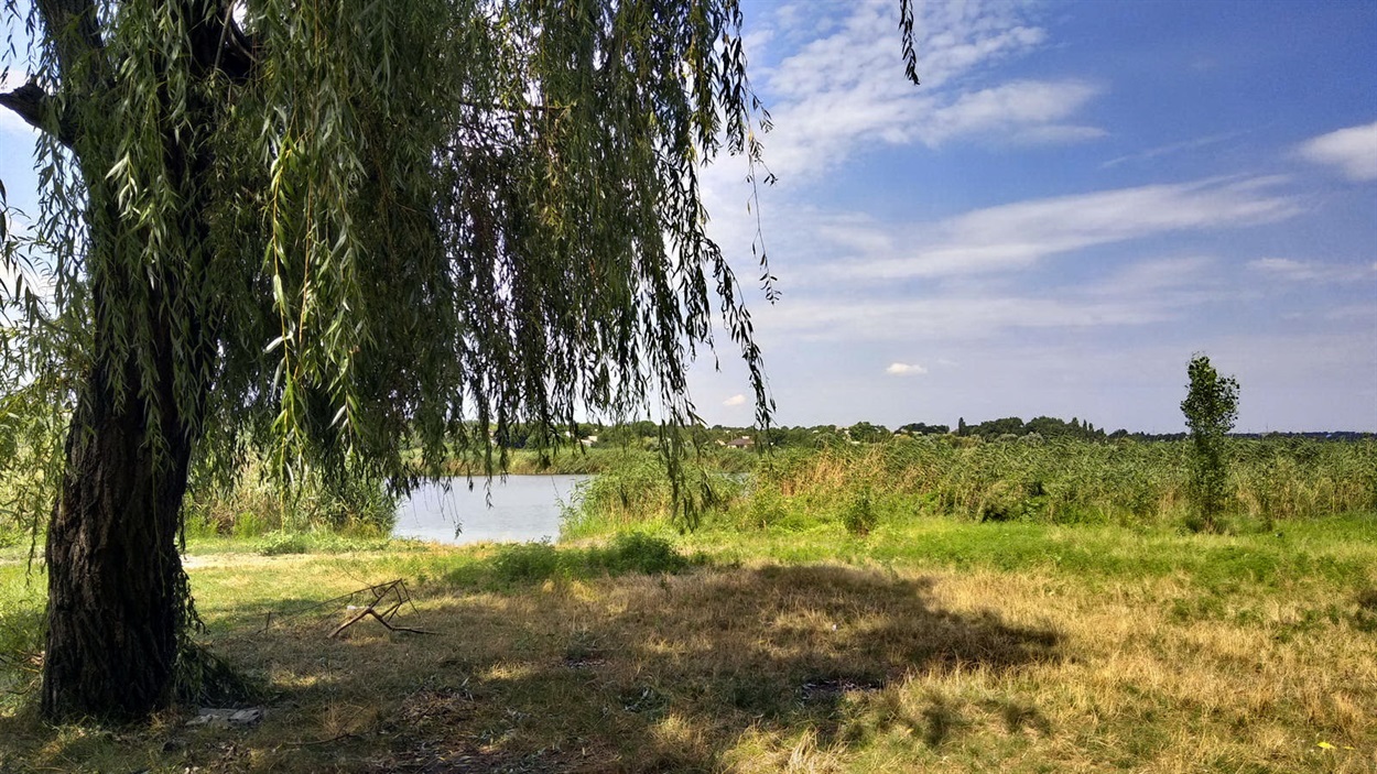 Кінський пляж