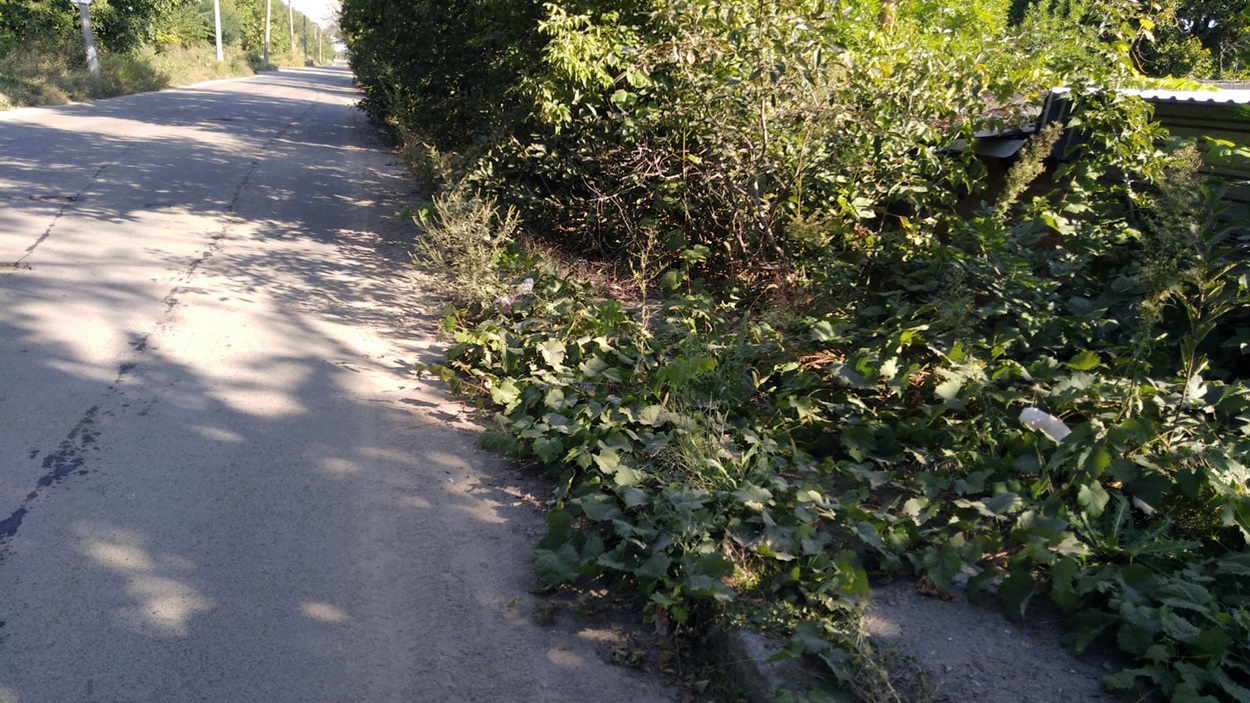 Необхідно облаштувати пішохідну зону уздовж вулиці