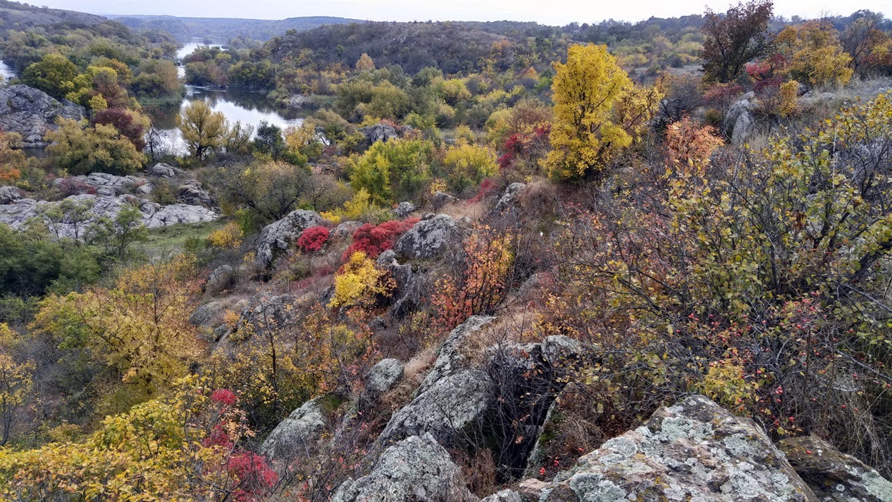Осінь, барвиста пора